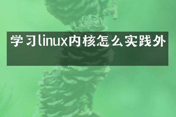 学习linux内核怎么实践外包