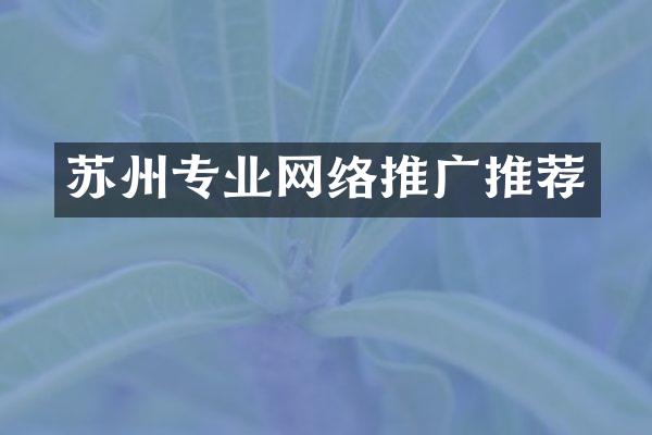 苏州专业网络推广推荐