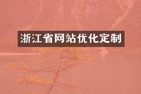 浙江省网站优化定制