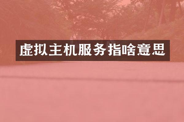 虚拟主机服务指啥意思