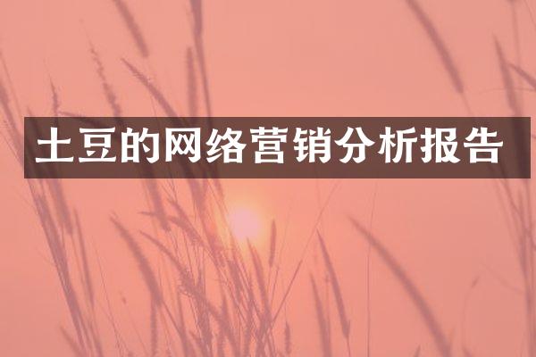土豆的网络营销分析报告
