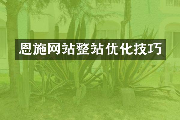 恩施网站整站优化技巧