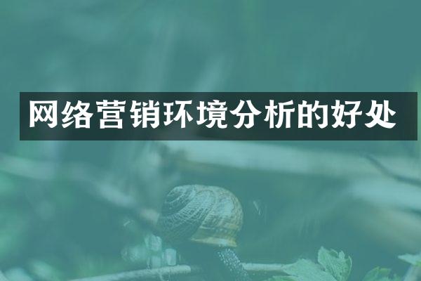 网络营销环境分析的好处