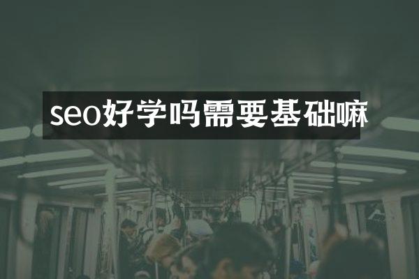 seo好学吗需要基础嘛