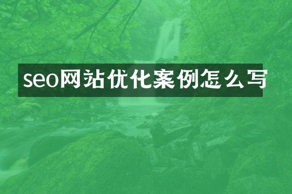 seo网站优化案例怎么写