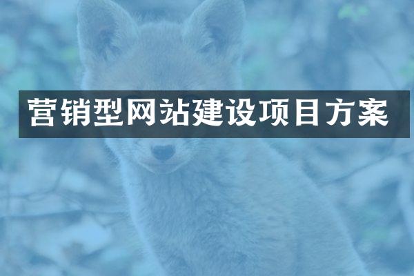 营销型网站建设项目方案