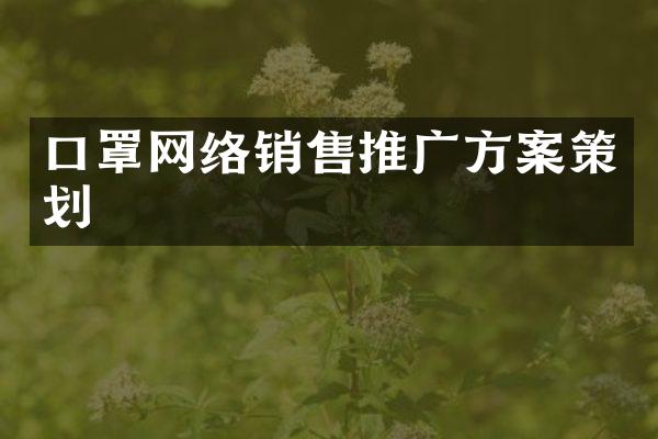 口罩网络销售推广方案策划