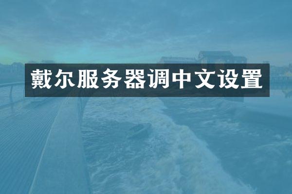 戴尔服务器调中文设置