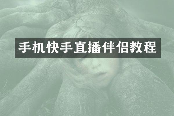 手机快手直播伴侣教程