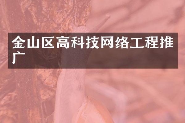 金山区高科技网络工程推广
