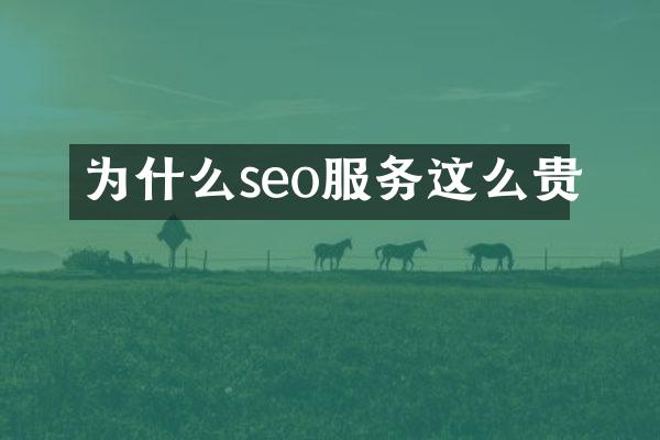 为什么seo服务这么贵