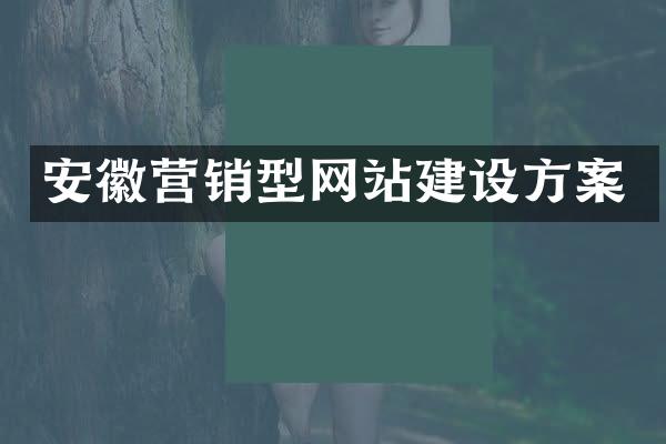 安徽营销型网站建设方案