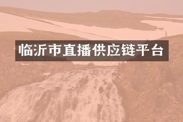 临沂市直播供应链平台