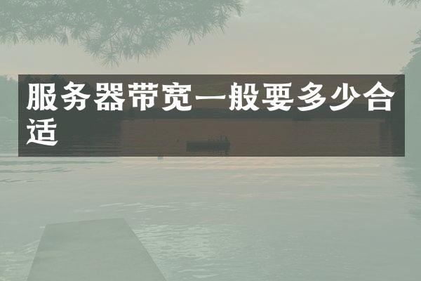 服务器带宽一般要多少合适