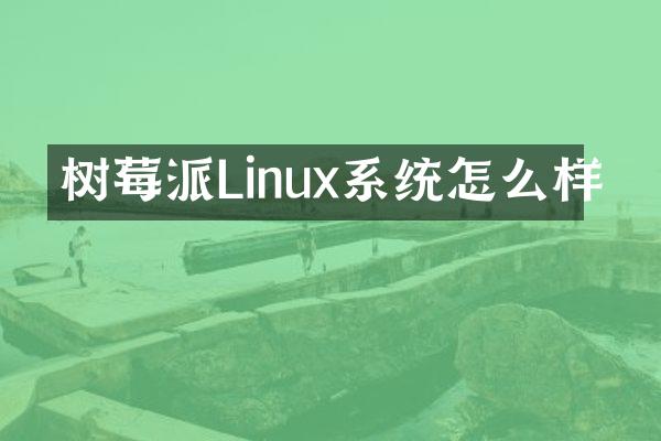 树莓派Linux系统怎么样
