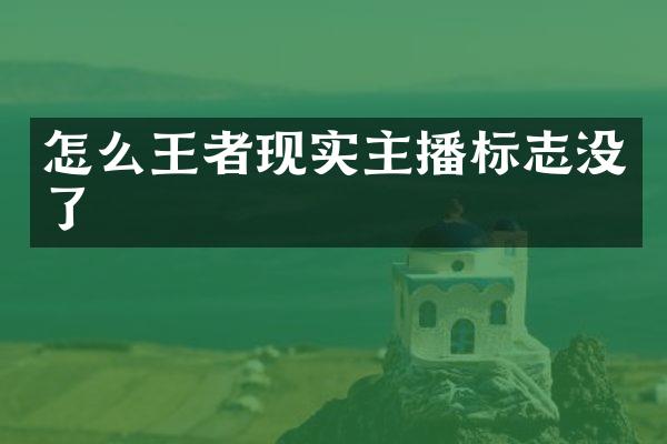 怎么王者现实主播标志没了