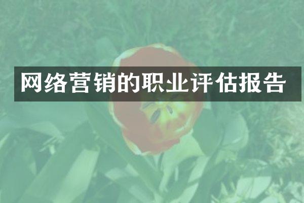 网络营销的职业评估报告