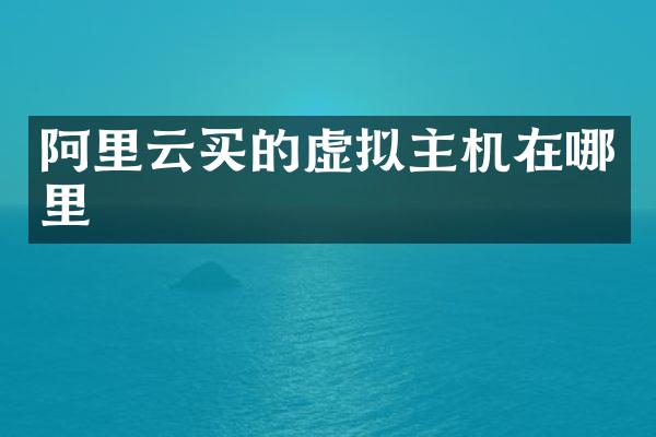 阿里云买的虚拟主机在哪里