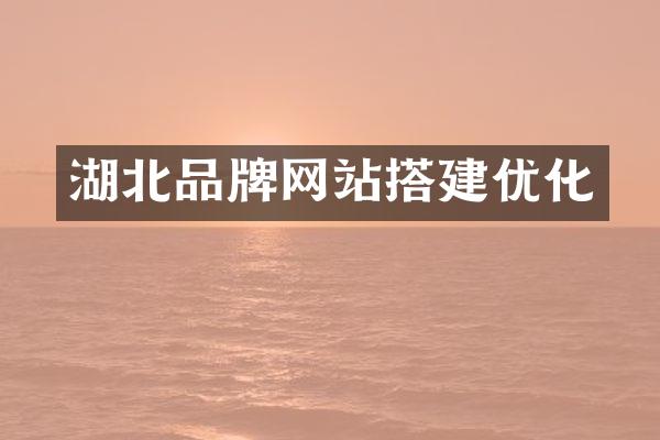 湖北品牌网站搭建优化