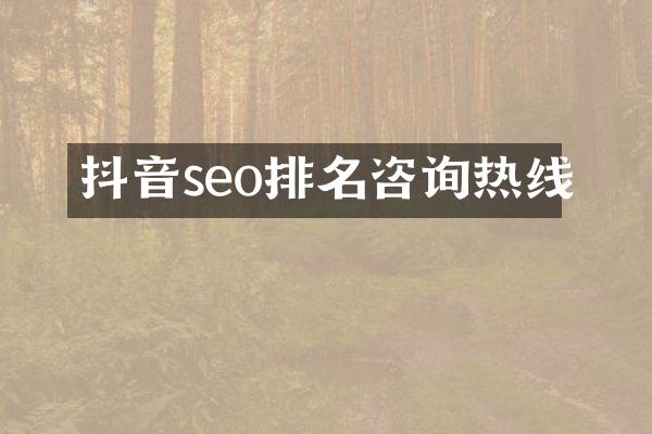 抖音seo排名咨询热线