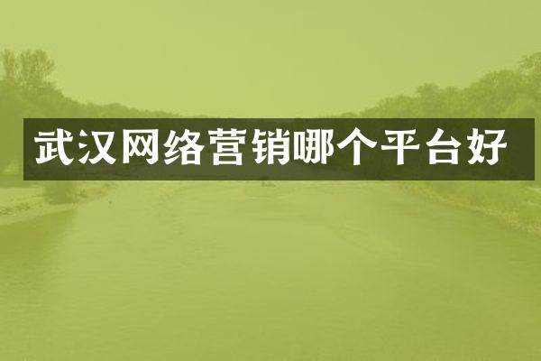 武汉网络营销哪个平台好