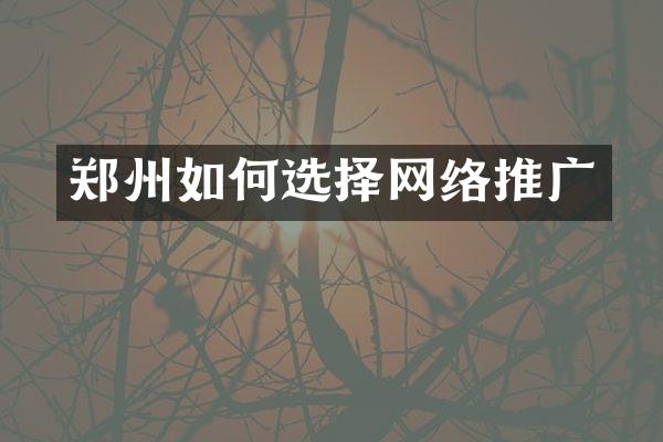 郑州如何选择网络推广