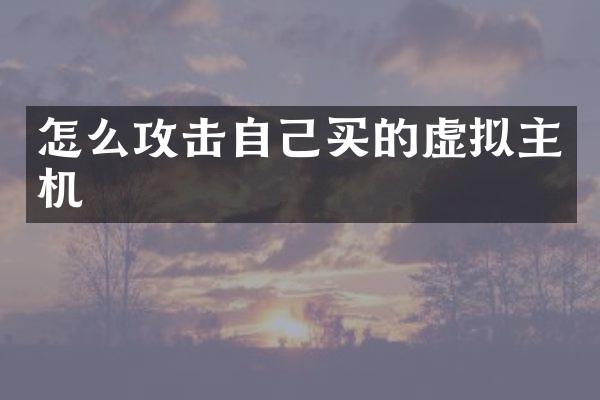 怎么攻击自己买的虚拟主机