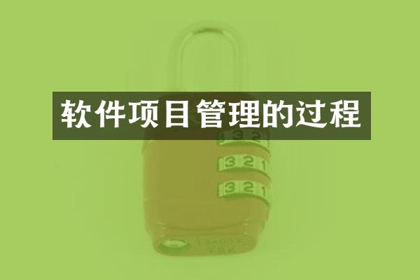 软件项目管理的过程