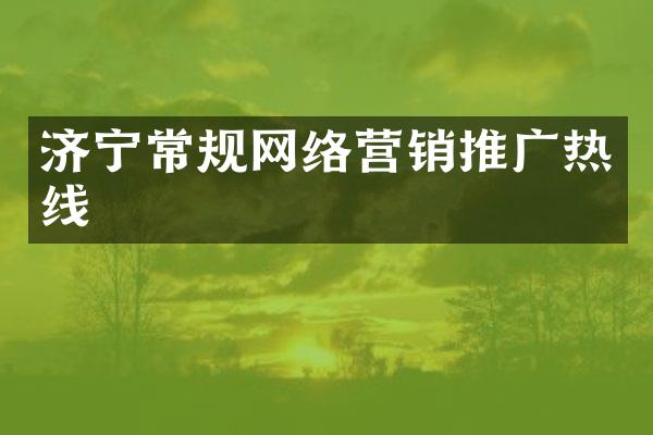 济宁常规网络营销推广热线