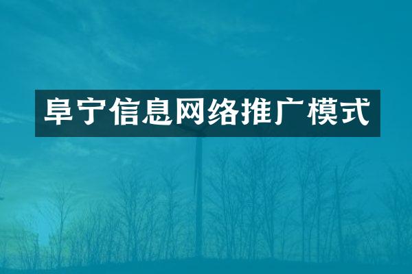 阜宁信息网络推广模式