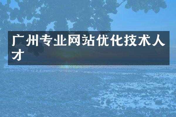广州专业网站优化技术人才