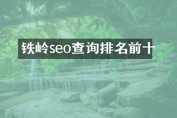 铁岭seo查询排名前十