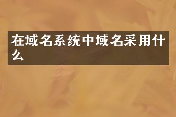 在域名系统中域名采用什么