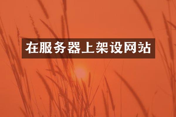 在服务器上架设网站