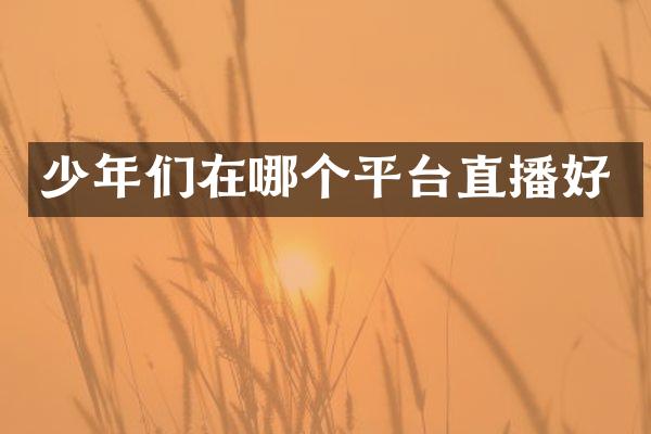 少年们在哪个平台直播好