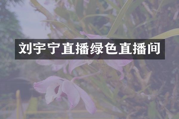 刘宇宁直播绿色直播间