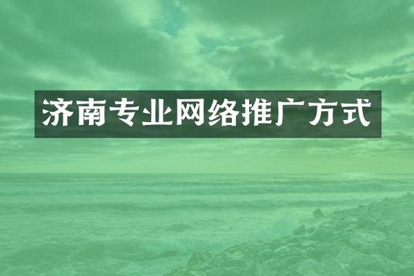 济南专业网络推广方式