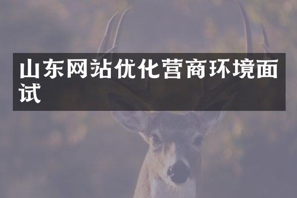 山东网站优化营商环境面试