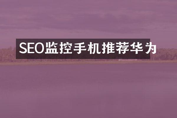 SEO监控手机推荐华为