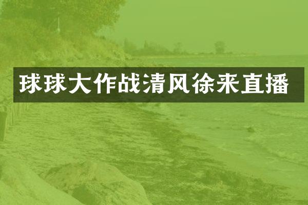 球球大作战清风徐来直播
