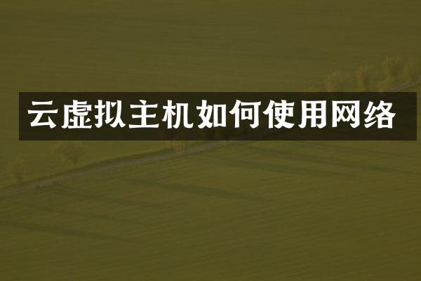 云虚拟主机如何使用网络