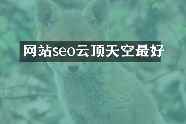 网站seo云顶天空最好