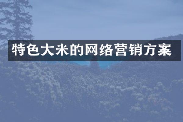 特色大米的网络营销方案