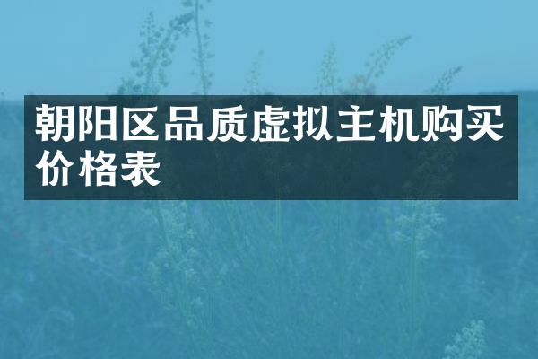 朝阳区品质虚拟主机购买价格表