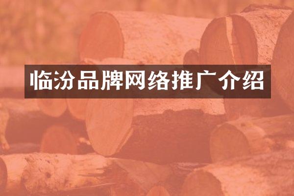 临汾品牌网络推广介绍