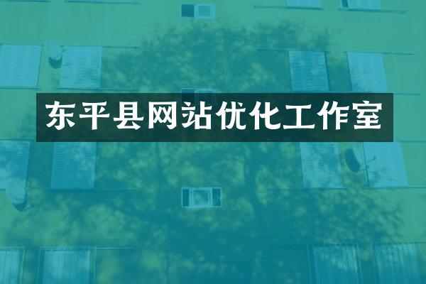 东平县网站优化工作室