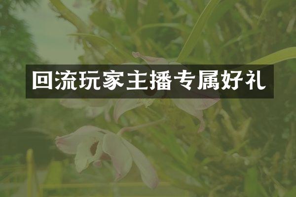 回流玩家主播专属好礼