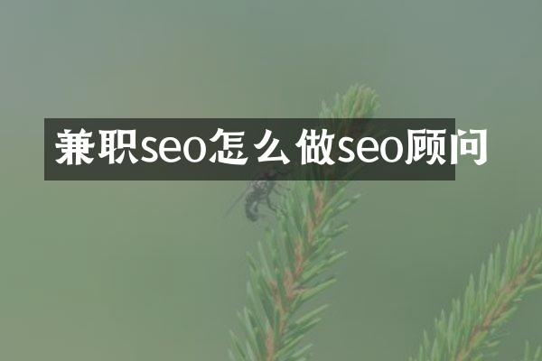 兼职seo怎么做seo顾问