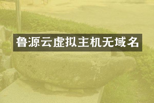 鲁源云虚拟主机无域名