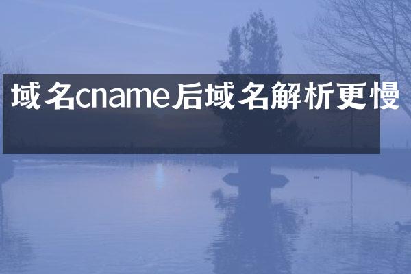 域名cname后域名解析更慢了